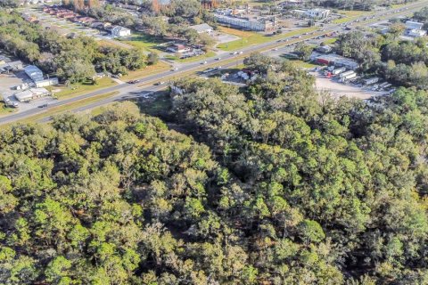 Land in Lakeland, Florida № 1545551 - photo 6