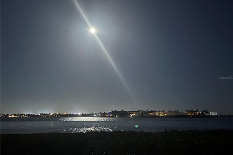Condominio en alquiler en Saint Petersburg, Florida, 2 dormitorios, 82.68 m2 № 1723136 - foto 16