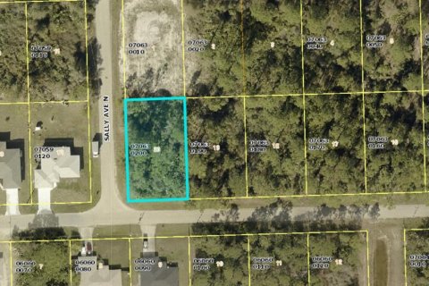 Terreno en Lehigh Acres, Florida № 2232027