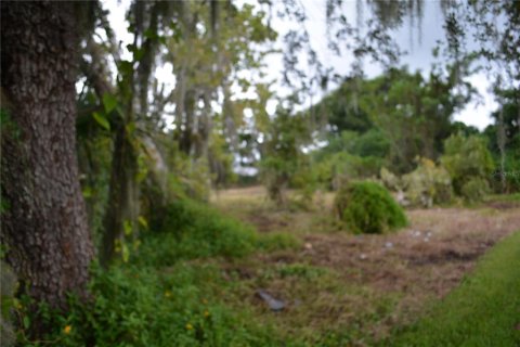 Terreno en venta en Oviedo, Florida № 861809 - foto 11