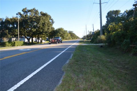 Terreno en venta en Oviedo, Florida № 861809 - foto 5