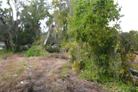 Terreno en venta en Oviedo, Florida № 861809 - foto 6