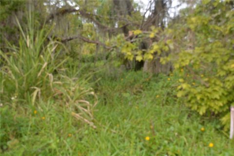 Terreno en venta en Oviedo, Florida № 861809 - foto 14