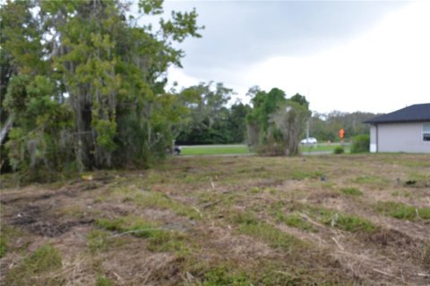 Terreno en venta en Oviedo, Florida № 861809 - foto 2