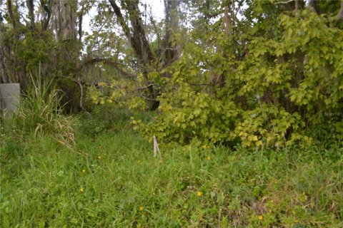 Terreno en venta en Oviedo, Florida № 861809 - foto 13