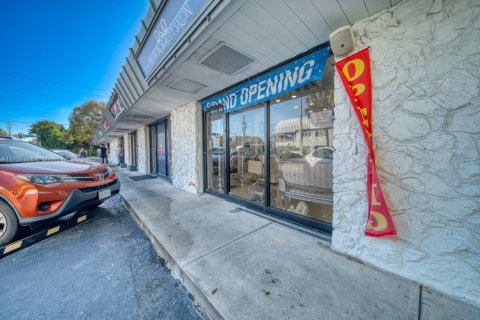 Commercial property in South Miami, Florida № 1985559 - photo 13