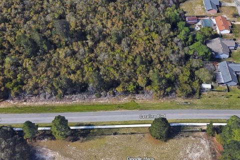 Land in Deltona, Florida № 2166077 - photo 4