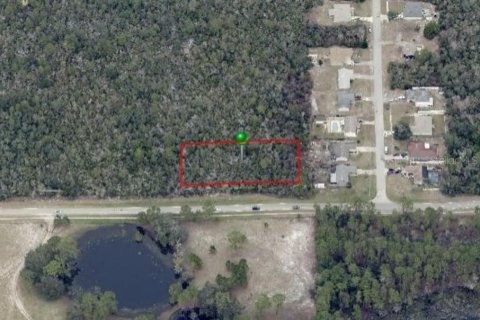 Land in Deltona, Florida № 2166077 - photo 3