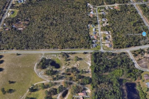 Land in Deltona, Florida № 2166077 - photo 5