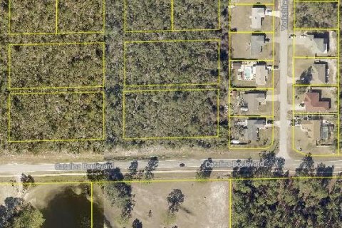 Land in Deltona, Florida № 2166077 - photo 7