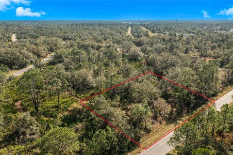 Land in North Port, Florida № 2160283 - photo 4