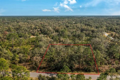 Land in North Port, Florida № 2160283 - photo 2
