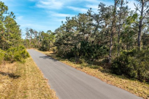 Land in North Port, Florida № 2160283
