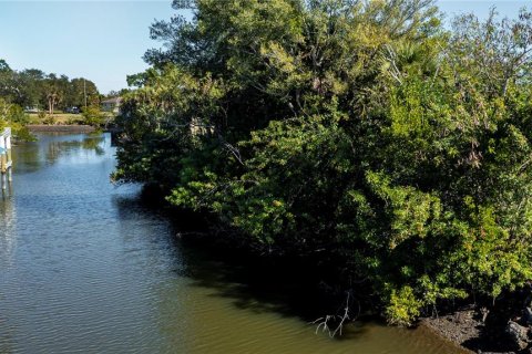 Terreno en venta en Punta Gorda, Florida № 2212754 - foto 6