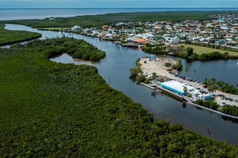 Terreno en venta en Punta Gorda, Florida № 2212754 - foto 22