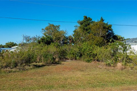 Terreno en Punta Gorda, Florida № 2212754