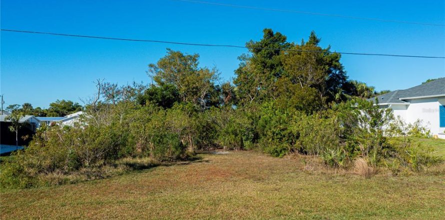 Terreno en Punta Gorda, Florida № 2212754
