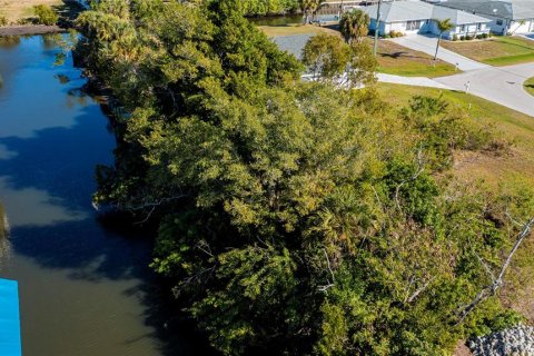 Terreno en venta en Punta Gorda, Florida № 2212754 - foto 7