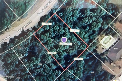 Land in North Port, Florida № 2159406 - photo 2