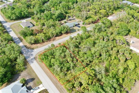 Land in Port Charlotte, Florida № 2158753 - photo 10