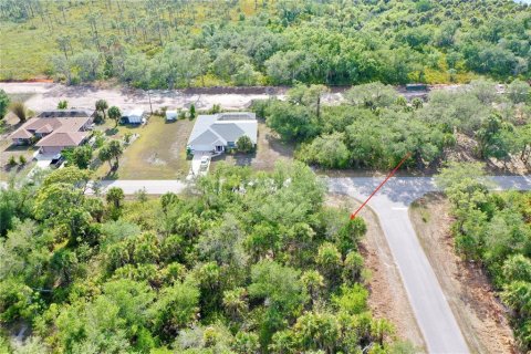 Land in Port Charlotte, Florida № 2158753 - photo 13