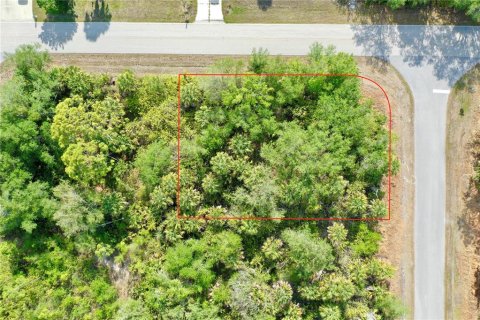Land in Port Charlotte, Florida № 2158753 - photo 2