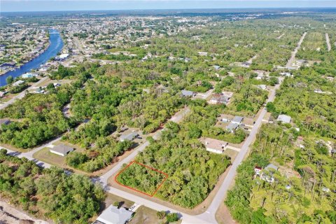 Land in Port Charlotte, Florida № 2158753 - photo 7