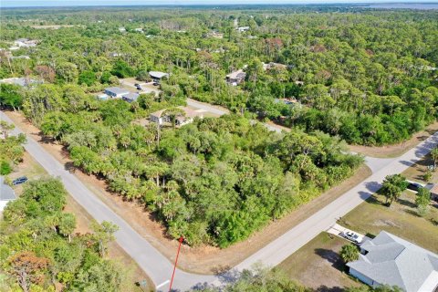 Land in Port Charlotte, Florida № 2158753 - photo 6
