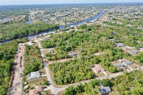Land in Port Charlotte, Florida № 2158753 - photo 8