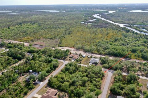 Land in Port Charlotte, Florida № 2158753 - photo 3