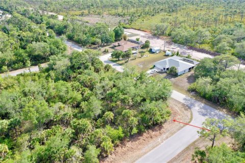 Land in Port Charlotte, Florida № 2158753 - photo 5
