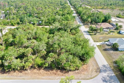 Land in Port Charlotte, Florida № 2158753 - photo 14