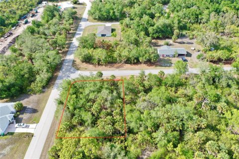 Land in Port Charlotte, Florida № 2158753 - photo 11