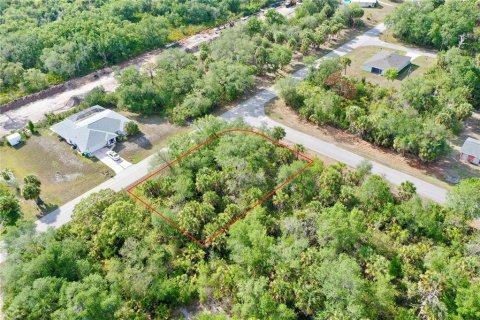 Land in Port Charlotte, Florida № 2158753 - photo 12