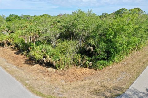 Land in Port Charlotte, Florida № 2158753 - photo 19