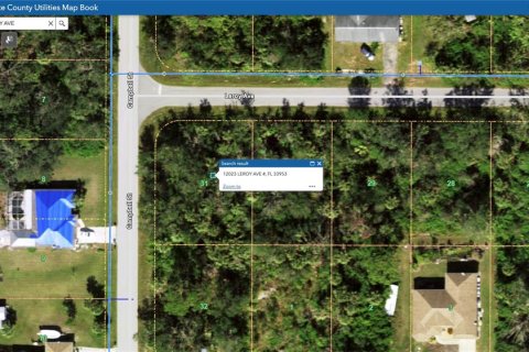 Land in Port Charlotte, Florida № 2158753 - photo 18