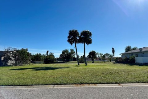 Land in Rotonda, Florida № 1564360 - photo 2
