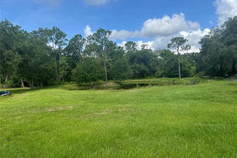 Terrain à vendre à Myakka City, Floride № 2149593 - photo 24