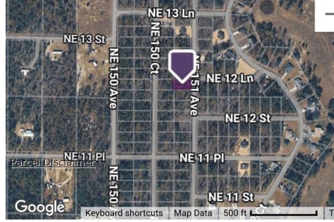 Land in Williston, Florida № 2163891 - photo 3