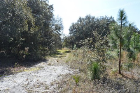 Terreno en venta en Spring Hill, Florida № 1804637 - foto 9