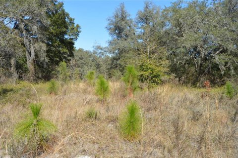 Terreno en venta en Spring Hill, Florida № 1804637 - foto 8