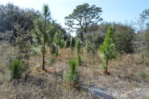 Terreno en venta en Spring Hill, Florida № 1804637 - foto 10