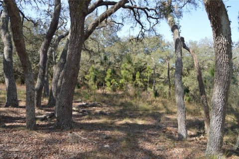 Terreno en venta en Spring Hill, Florida № 1804637 - foto 17