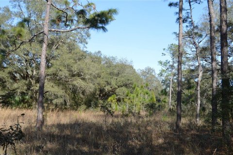 Terreno en venta en Spring Hill, Florida № 1804637 - foto 18