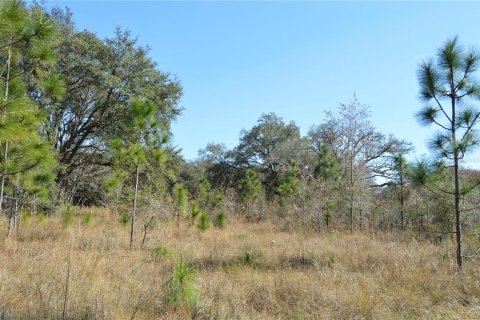 Terreno en venta en Spring Hill, Florida № 1804637 - foto 14