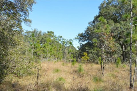 Terreno en venta en Spring Hill, Florida № 1804637 - foto 5