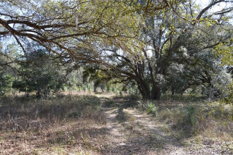Terreno en venta en Spring Hill, Florida № 1804637 - foto 12
