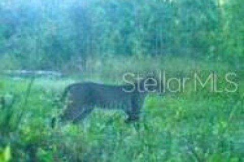 Terreno en venta en Spring Hill, Florida № 1804637 - foto 25