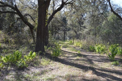 Terreno en venta en Spring Hill, Florida № 1804637 - foto 7