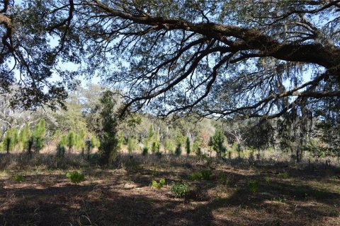 Terreno en venta en Spring Hill, Florida № 1804637 - foto 15